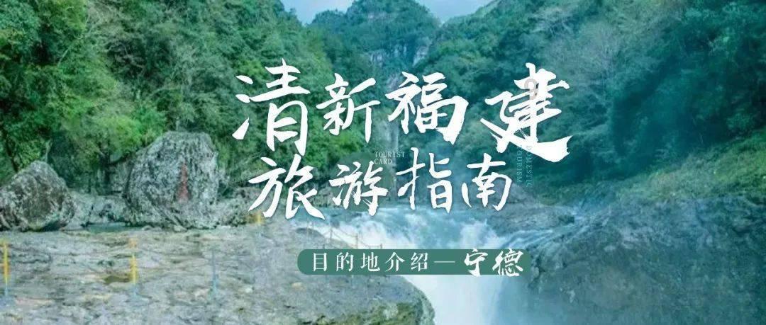 公主烹饪蛋糕